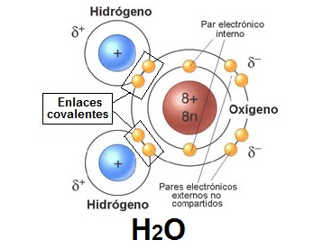 Covalent structures