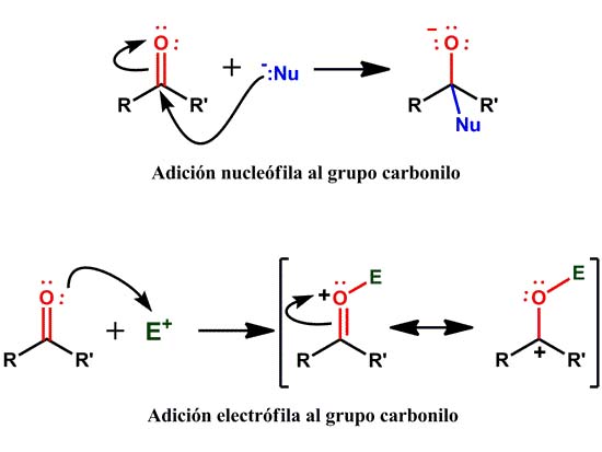 Nucleófilos y electrófilos