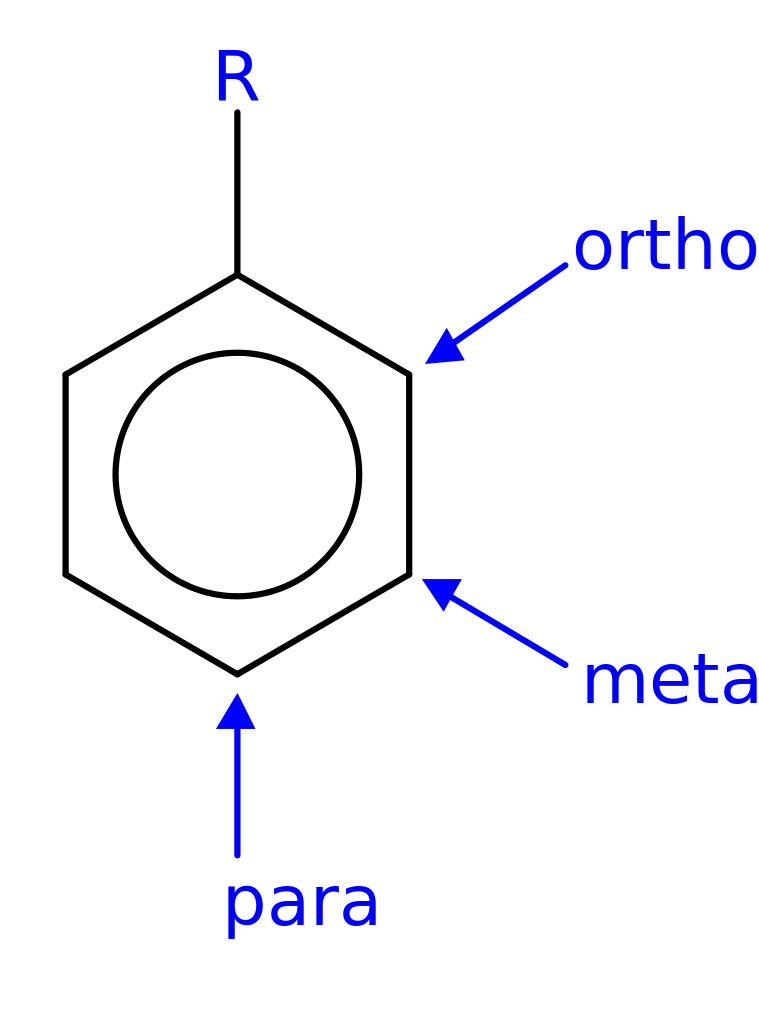 ortho meta para