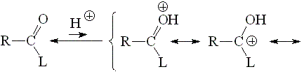 Propiedades ácido-base de derivados de acidos carboxilicos