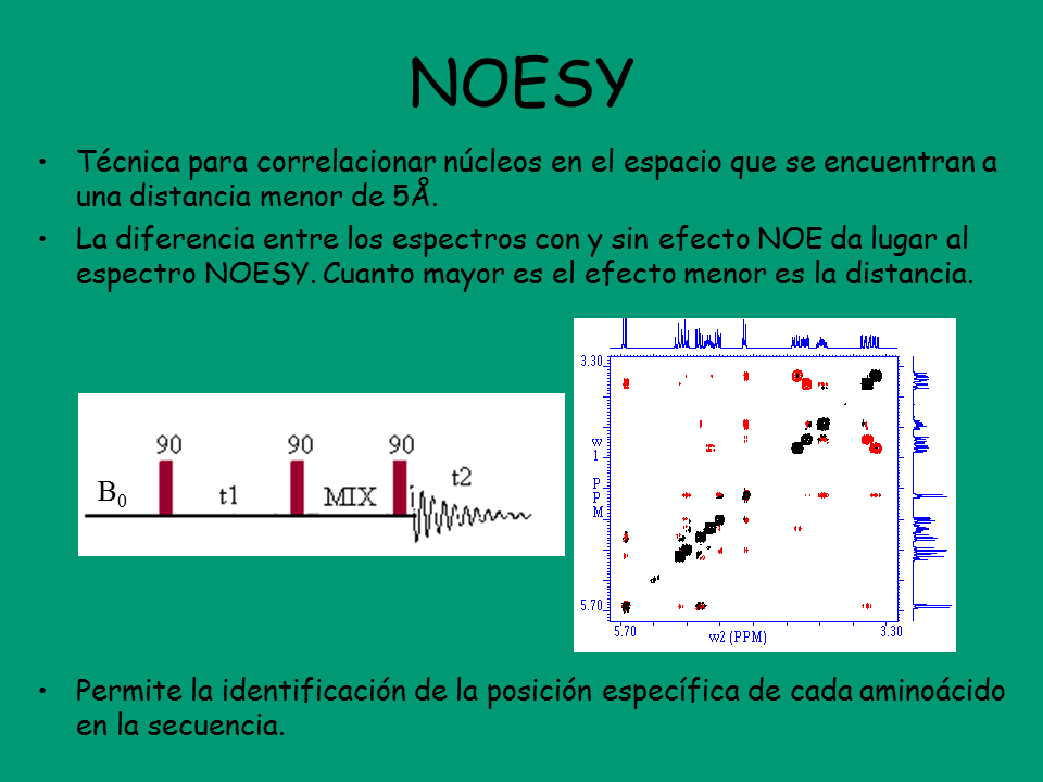 NOESY 2D H/H
