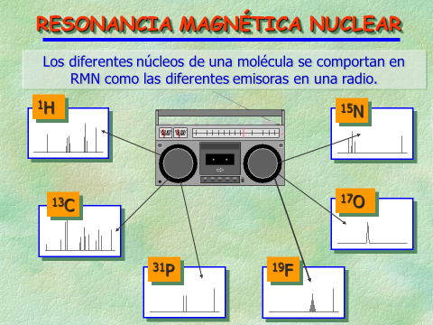 Isotopes and their magnetic properties