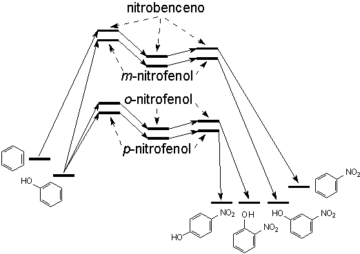 nitracion de clorobenceno