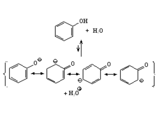 Acid-base properties of phenols