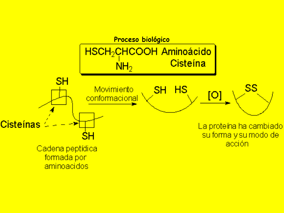 Reactividad de compuestos de azufre