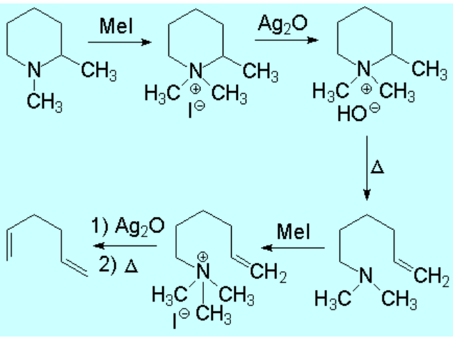 Reactivity of amines
