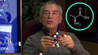 Video: La vida se sostiene sobre moléculas con Nitrógeno