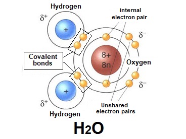 Covalent structures