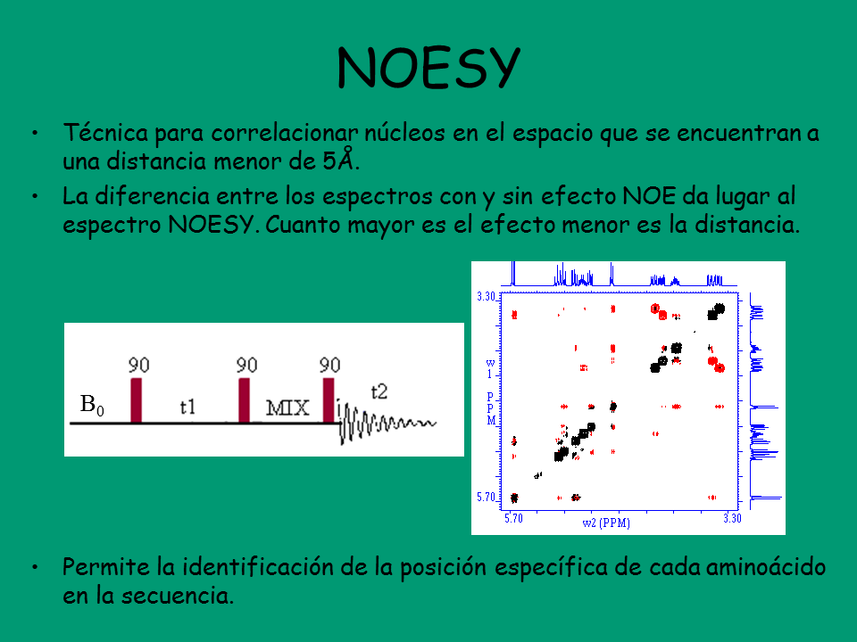 2D H/H NOESY