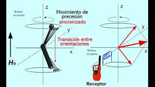 NMR Basics