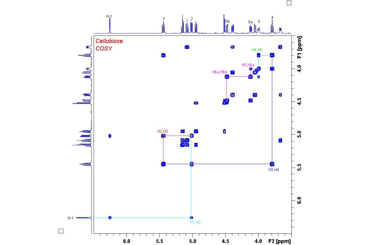 2D 1H-RMN spectra