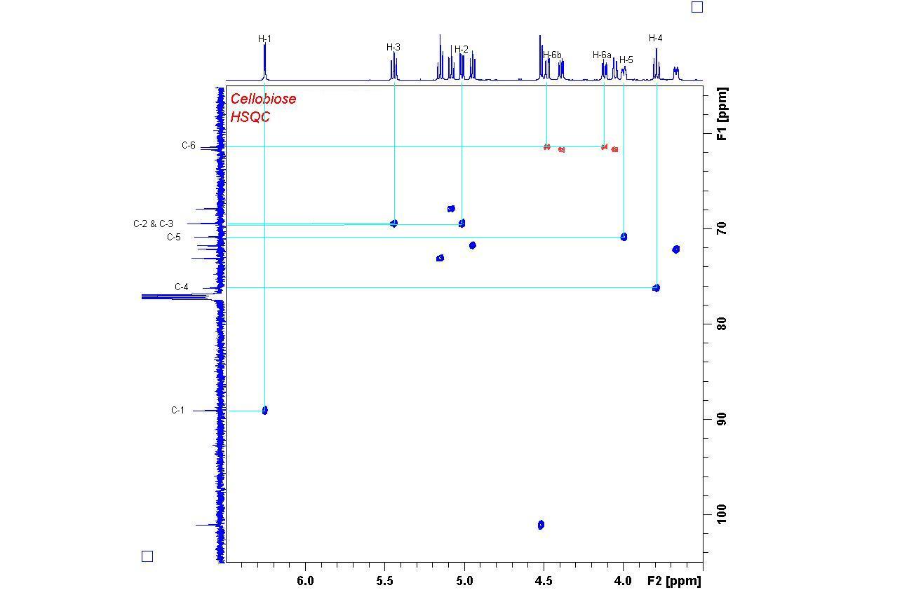 2D 1H/13C-RMN spectra