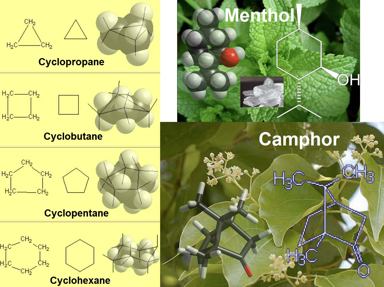 Structure and Nomenclature of cycloalkanes