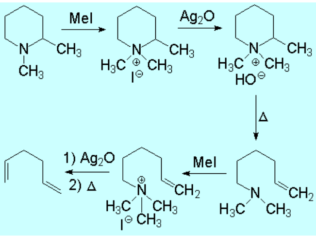 Degradación de Hofmann